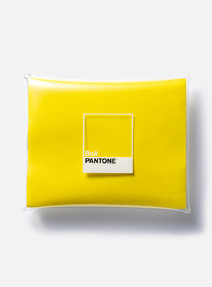 [PANTONE SALE] BoA  2019 SM ARTIST + PANTONE™ PVC POUCH